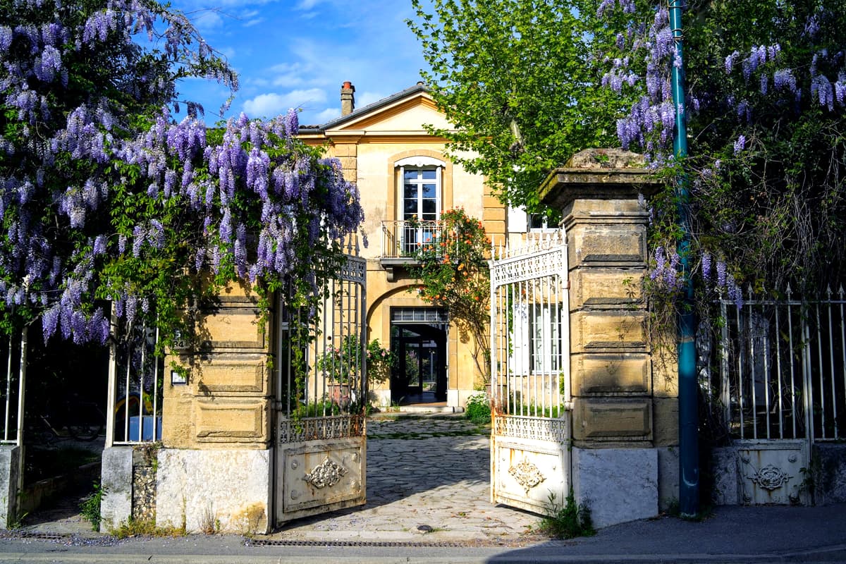 Le portail d'entrée grand ouvert, sous la glycine en fleurs